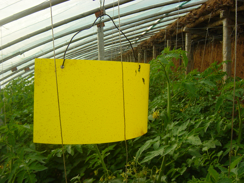 1554175760423561.png 1554175760423561.png