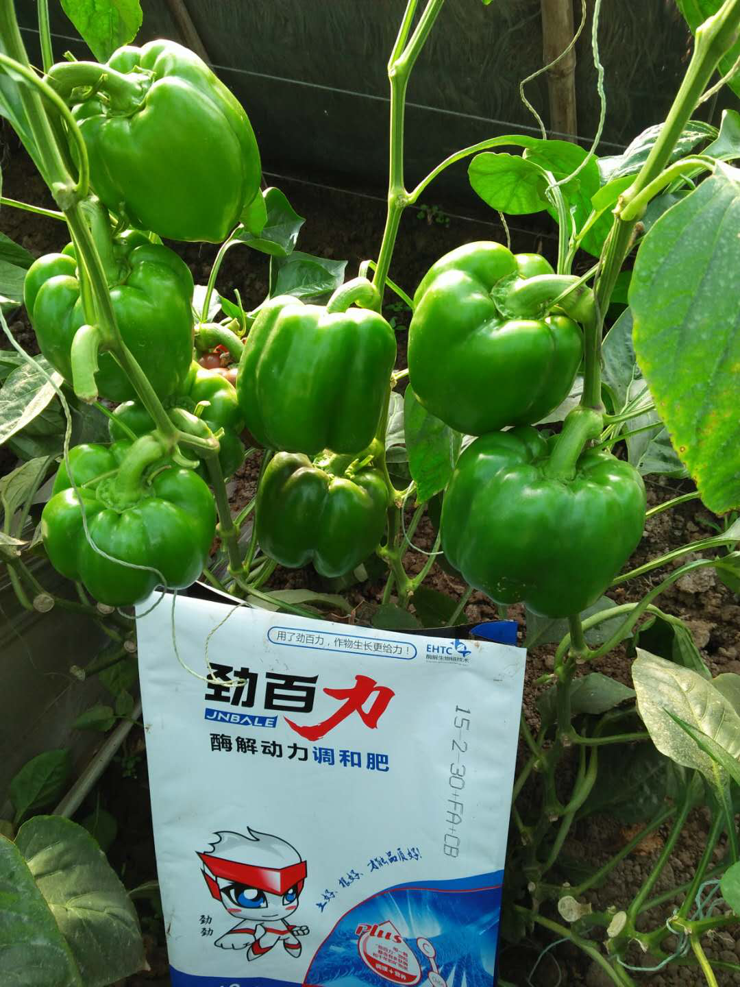 1554175835557691.png 1554175835557691.png