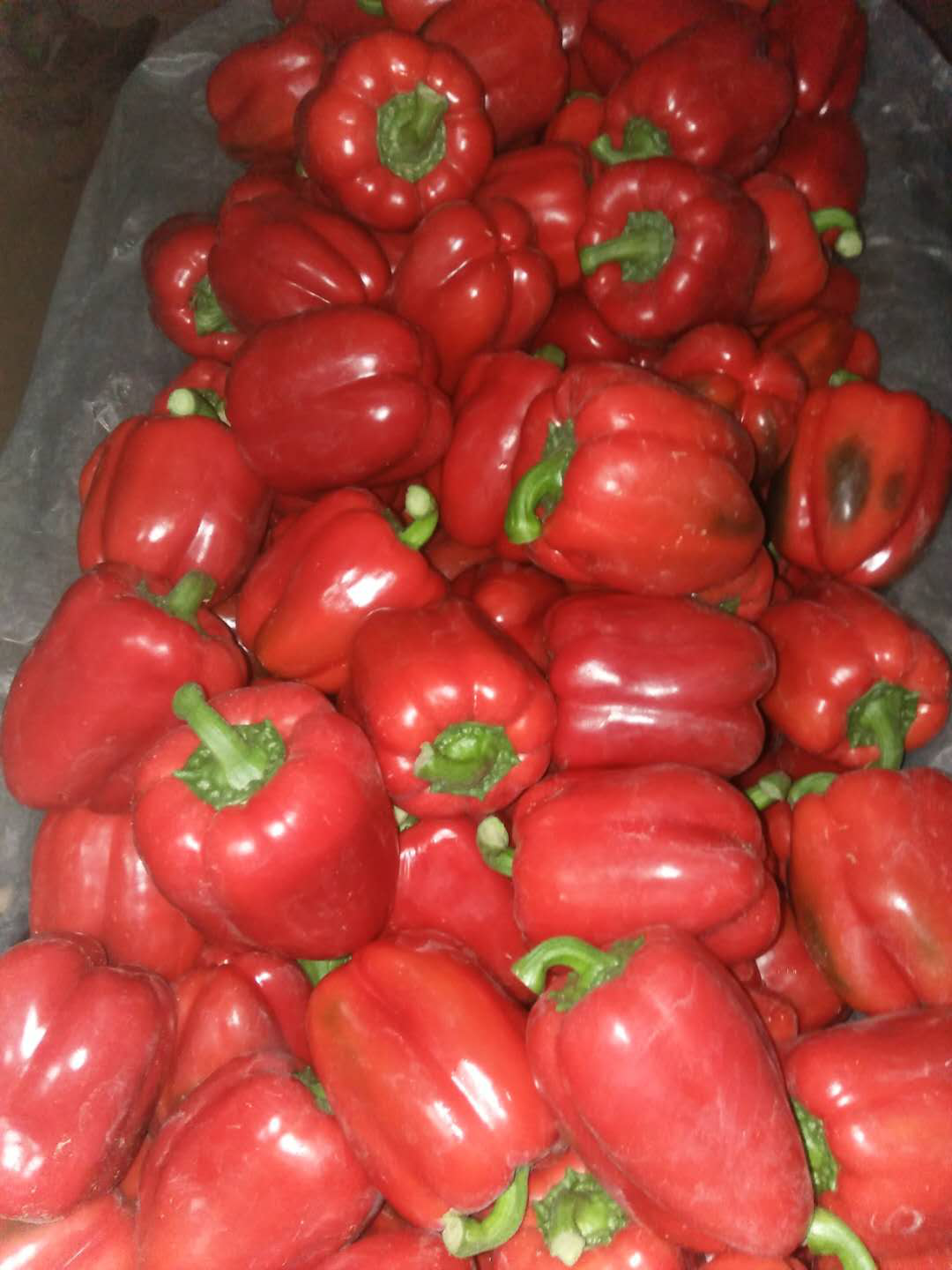 1554176080929314.png 1554176080929314.png