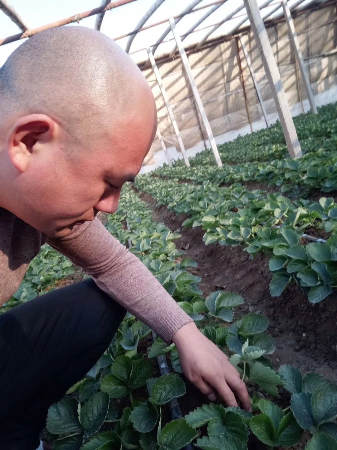 1559806753507775.jpg 微信图片_20181227141902.jpg